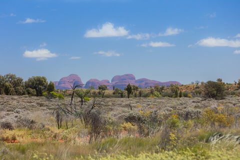 Overnight Uluru (Ayers Rock) Small-Group Camping Tour - Restaurant Canberra 0
