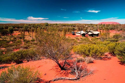 Overnight Uluru (Ayers Rock) Small-Group Camping Tour - Restaurant Canberra 2