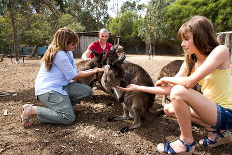 Full-Day Kangaroo Island Experience Departing From Kangaroo Island - Restaurant Canberra 5