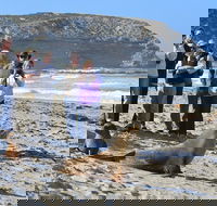 Full day Seal Bay Experience departing from Kangaroo Island - Restaurant Canberra