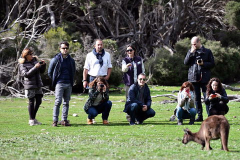 Small-Group Kangaroo Island 4WD Tour From Adelaide - Restaurant Canberra 2