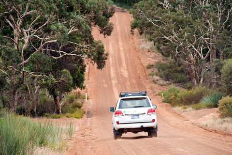 Small-Group Kangaroo Island 4WD Tour From Adelaide - Restaurant Canberra 3