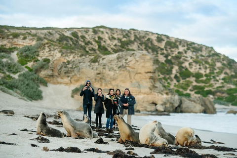 Small-Group Kangaroo Island 4WD Tour From Adelaide - Restaurant Canberra 4