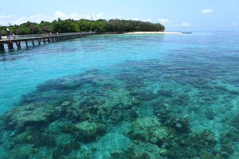 Cairns City Sights And Surrounds Tour - Restaurant Canberra 1
