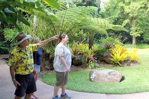 Cairns Shore Excursion: Cairns City Sights & Surrounds Tour - Restaurant Canberra 4