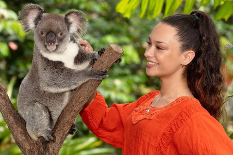 Kuranda Wildlife Experience Three Attraction Pass - Restaurant Canberra 4