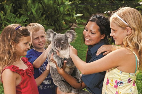 Kuranda Koala Gardens General Entry Ticket - Restaurant Canberra 0