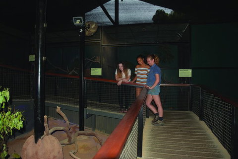 Kuranda Koala Gardens General Entry Ticket - Restaurant Canberra 2