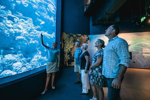 Cairns Aquarium By Twilight With 3-Course Dinner - Restaurant Canberra 1