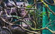 Cairns Aquarium By Twilight With 3-Course Dinner - thumb 2