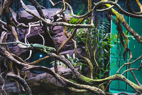 Cairns Aquarium By Twilight With 3-Course Dinner - Restaurant Canberra 2
