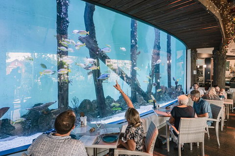 Cairns Aquarium By Twilight With 3-Course Dinner - Restaurant Canberra 4