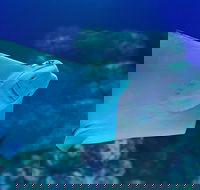 Cairns Aquarium Family Ticket - Restaurant Canberra