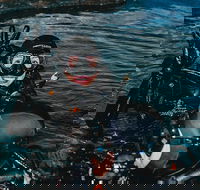 Cairns Aquarium Dive with the Sharks - Restaurant Canberra