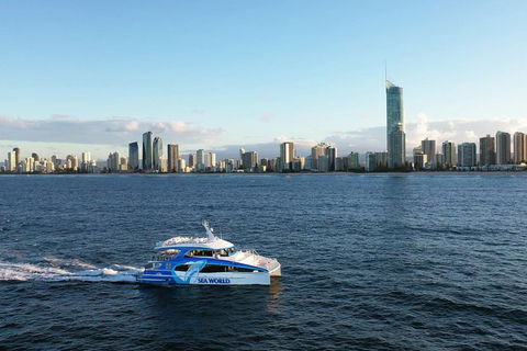 Whale Watching By Sea World Cruises - Restaurant Canberra 1