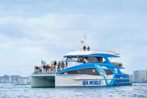 Whale Watching By Sea World Cruises - Restaurant Canberra 3