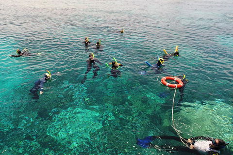 Seastar Luxury Outer Great Barrier Reef Island And Reef Tour From Cairns - Restaurant Canberra 2