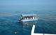 Seastar Luxury Outer Great Barrier Reef Island And Reef Tour From Cairns - thumb 5