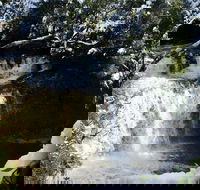 Cradle Mountain Day Tour from Launceston Including Lunch - Restaurant Canberra