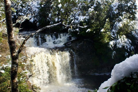 Cradle Mountain Park Explorer Guided Tour - Restaurant Canberra 4