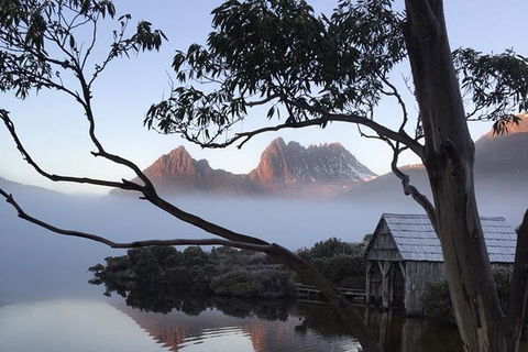 Cradle Mountain Park Explorer Guided Tour - Restaurant Canberra 5