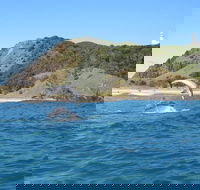 Kayaking with Dolphins in Byron Bay Guided Tour - Restaurant Canberra