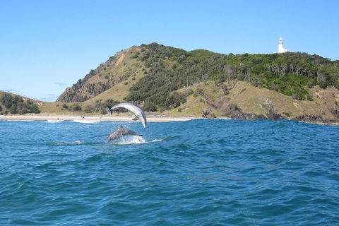 Kayaking With Dolphins In Byron Bay Guided Tour - Restaurant Canberra 0