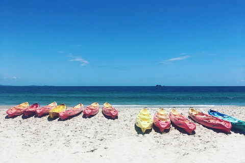 Kayaking With Dolphins In Byron Bay Guided Tour - Restaurant Canberra 1