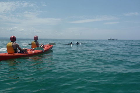 Kayaking With Dolphins In Byron Bay Guided Tour - Restaurant Canberra 4
