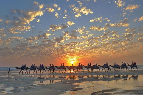 Broome City Sightseeing Tour With Optional Camel Ride - Restaurant Canberra 1
