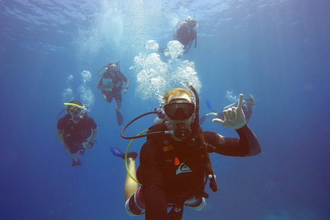 12-Day Great Barrier Reef Marine Conservation Program From Cairns - Restaurant Canberra 0