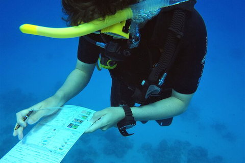 12-Day Great Barrier Reef Marine Conservation Program From Cairns - Restaurant Canberra 2