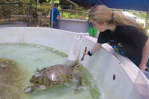 12-Day Great Barrier Reef Marine Conservation Program From Cairns - Restaurant Canberra 4