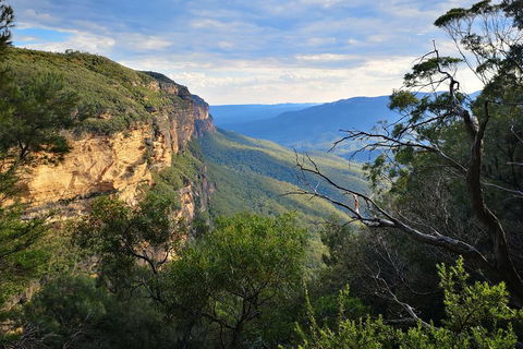 Blue Mountains Day Tour With Wildlife At Sunset From Sydney - Restaurant Canberra 5