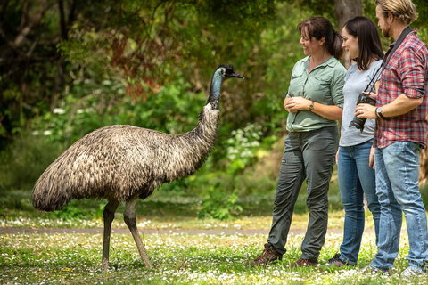 Great Ocean Road 2 Day Highlights Tour And Sunset 12 Apostles - Restaurant Canberra 0