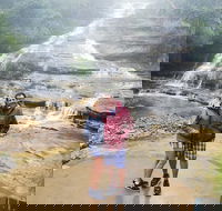 Blue Mountains Day Trip from Sydney with amazing lookouts Private Tour - Restaurant Canberra
