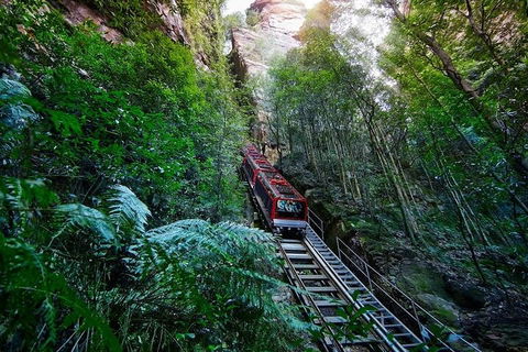 Blue Mountains Private Tour With Kangaroos & Koala Encounter - Restaurant Canberra 1