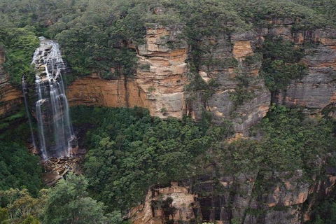 Blue Mountains Private Tour With Kangaroos & Koala Encounter - Restaurant Canberra 2