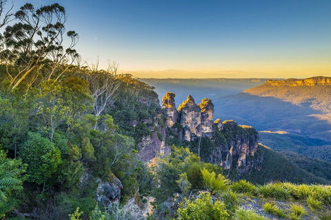 Blue Mountains Private Tour With Kangaroos & Koala Encounter - Restaurant Canberra 5