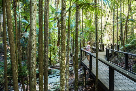 All-Inclusive Fraser Island Day Tour - Restaurant Canberra 5