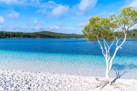 Lake McKenzie Full-Day Tour With Lunch From Hervey Bay - Restaurant Canberra 1