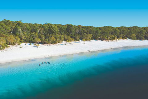 Lake McKenzie Full-Day Tour With Lunch From Hervey Bay - Restaurant Canberra 4