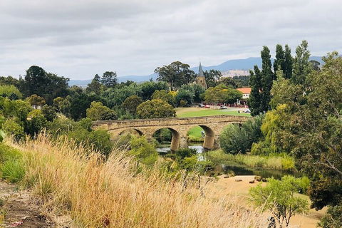 Day Tour In Mt. Field, Mt. Wellington, Bonorong Wildlife Sanctuary And Richmond - Restaurant Canberra 3