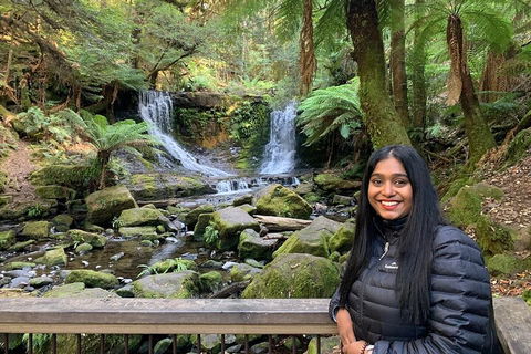 Day Tour In Mt. Field, Mt. Wellington, Bonorong Wildlife Sanctuary And Richmond - Restaurant Canberra 5