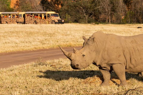 Sunset Safari At Werribee Open Range Zoo - Restaurant Canberra 1
