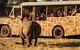 Sunset Safari At Werribee Open Range Zoo - thumb 5