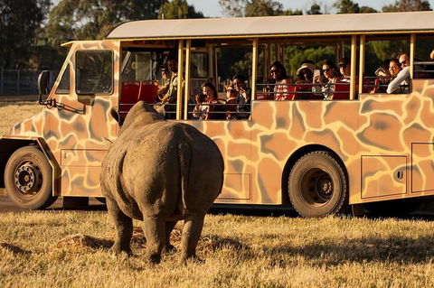 Sunset Safari At Werribee Open Range Zoo - Restaurant Canberra 5