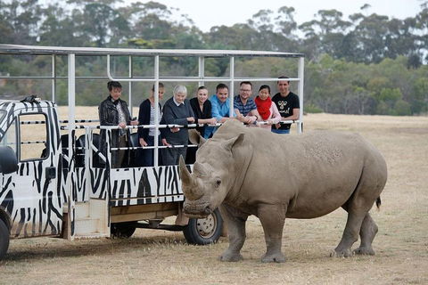 Off-Road Safari At Werribee Open Range Zoo - Restaurant Canberra 0