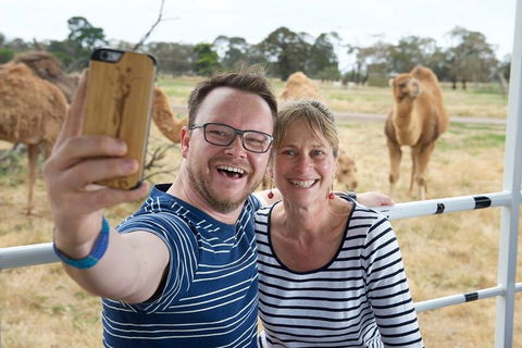 Off-Road Safari At Werribee Open Range Zoo - Restaurant Canberra 1