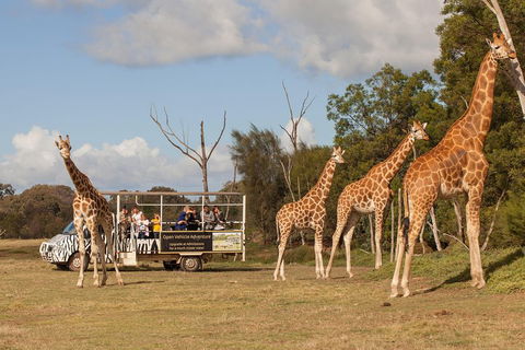 Off-Road Safari At Werribee Open Range Zoo - Restaurant Canberra 3